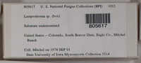 Image Associated With the Occurence